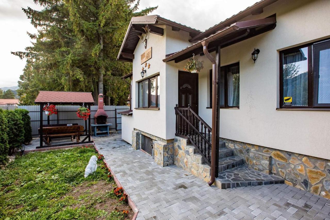Guest house Casa Andy